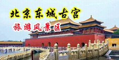 免费抽插中国北京-东城古宫旅游风景区